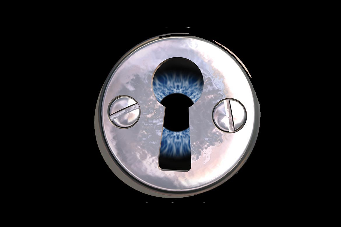 High security locking