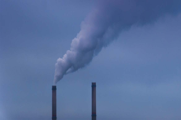 Environmental protest