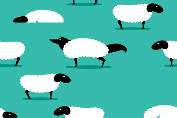 Investment fraud and call diversion techniques