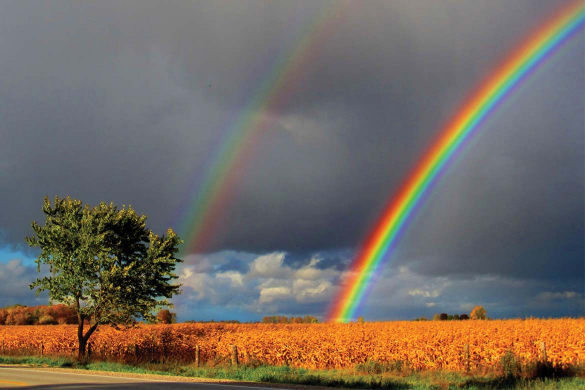 Cyber security technology innovation