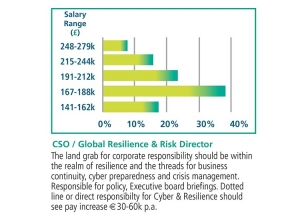 CSO Salary graph