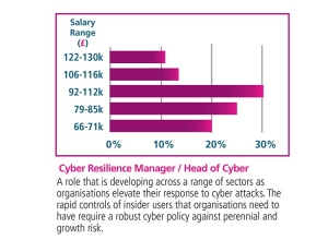 Cyber resilience manager
