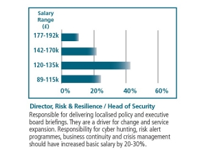 Director Risk Resilience
