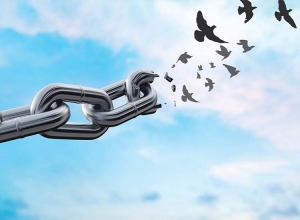 Metal cable breaking into birds flying