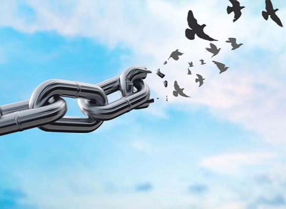 Metal cable breaking into birds flying