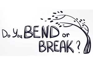 tree bending in wind