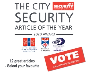 Web Award2 Ad 300x250